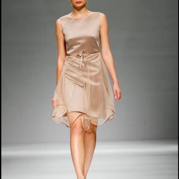 Suzanne Ermann Dresses & Skirts - Suzanne Ermann Womens Sleeveless Satin & Sheer Dress Open Back Size 42 Made In F